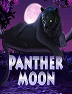 เว็บ พนัน บอล แจก เครดิต ฟรี พร้อมวิธีเล่นที่เข้าใจง่าย