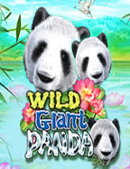 สัมผัสเกมสล็อต joker 91 เทสฟินในสไตล์ PG Soft